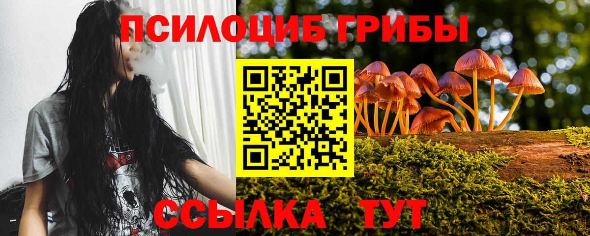 Галлюциногенные грибы мицелий  даркнет сайт  Оренбург  Вход с VPN 